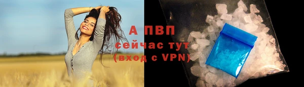 ГАЛЛЮЦИНОГЕННЫЕ ГРИБЫ Переславль-Залесский