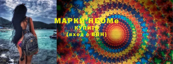 бошки Пересвет