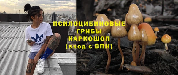 ГАЛЛЮЦИНОГЕННЫЕ ГРИБЫ Переславль-Залесский
