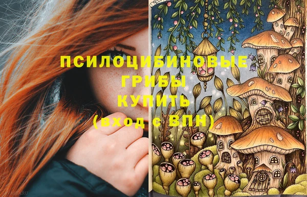 ГАЛЛЮЦИНОГЕННЫЕ ГРИБЫ Переславль-Залесский