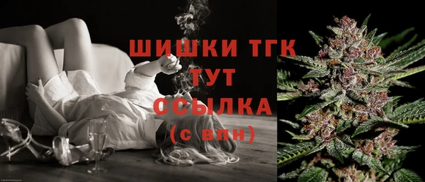 бошки Пересвет