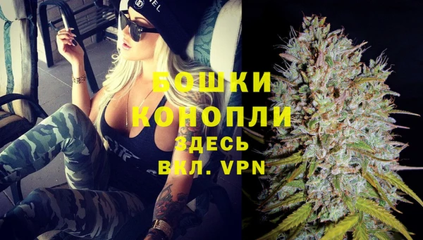 бошки Пересвет