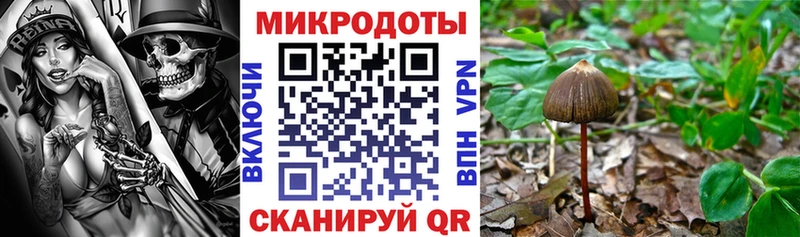 Купить закладки  Сясьстрой  Псилоцибиновые грибы ЛСД 